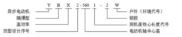 西安泰富西瑪YB2系列高壓防爆電機(jī)型號(hào)說(shuō)明
